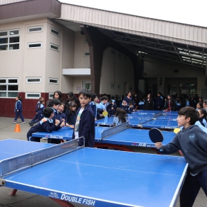 Día de la Actividad Física